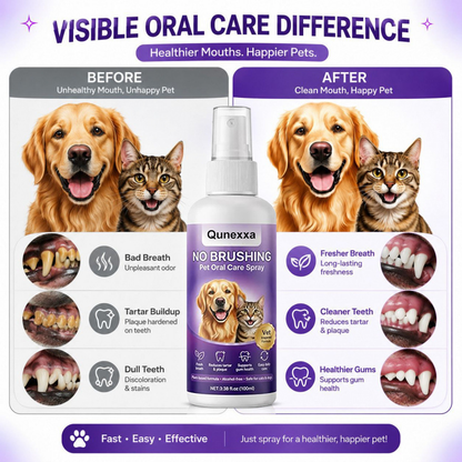 Pet oral care spray freshens breath and protects the mouth