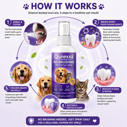 Pet oral care spray freshens breath and protects the mouth