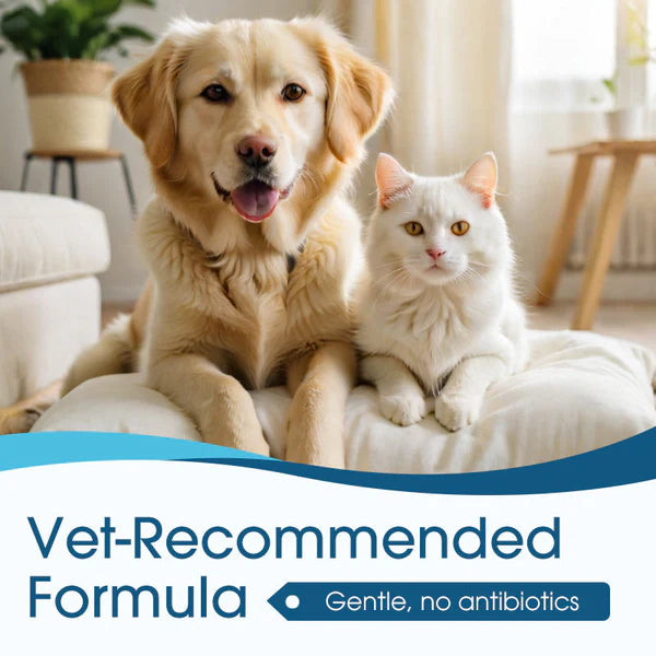 🐶🐱 Ear cleaner | Relieves itching in dogs & cats 👂