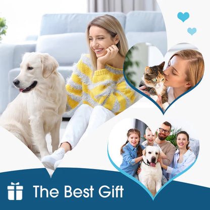 🐶🐱 Ear cleaner | Relieves itching in dogs & cats 👂
